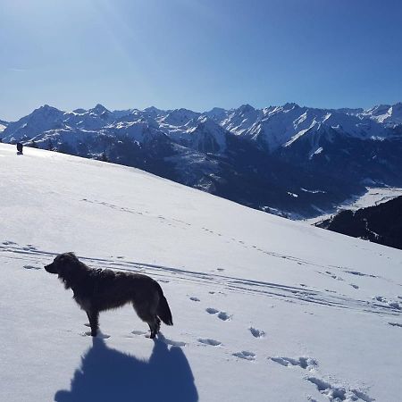 Cordial Sport Hotel Going Going am Wilden Kaiser Екстериор снимка