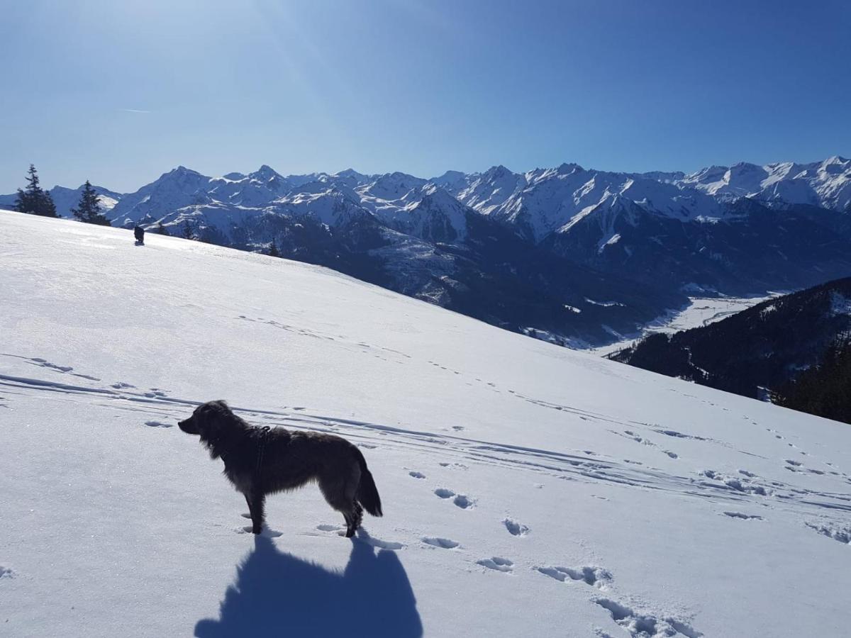 Cordial Sport Hotel Going Going am Wilden Kaiser Екстериор снимка